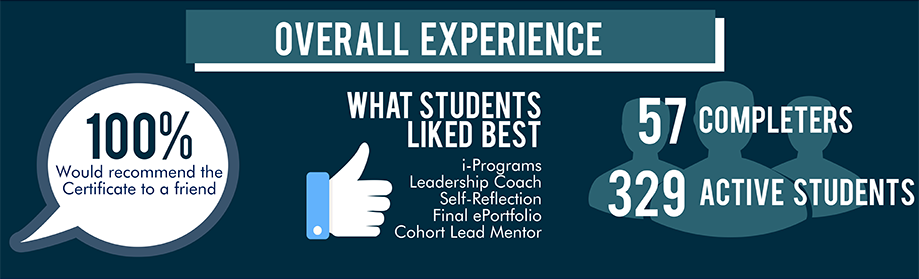 Infographic showing overall experience.